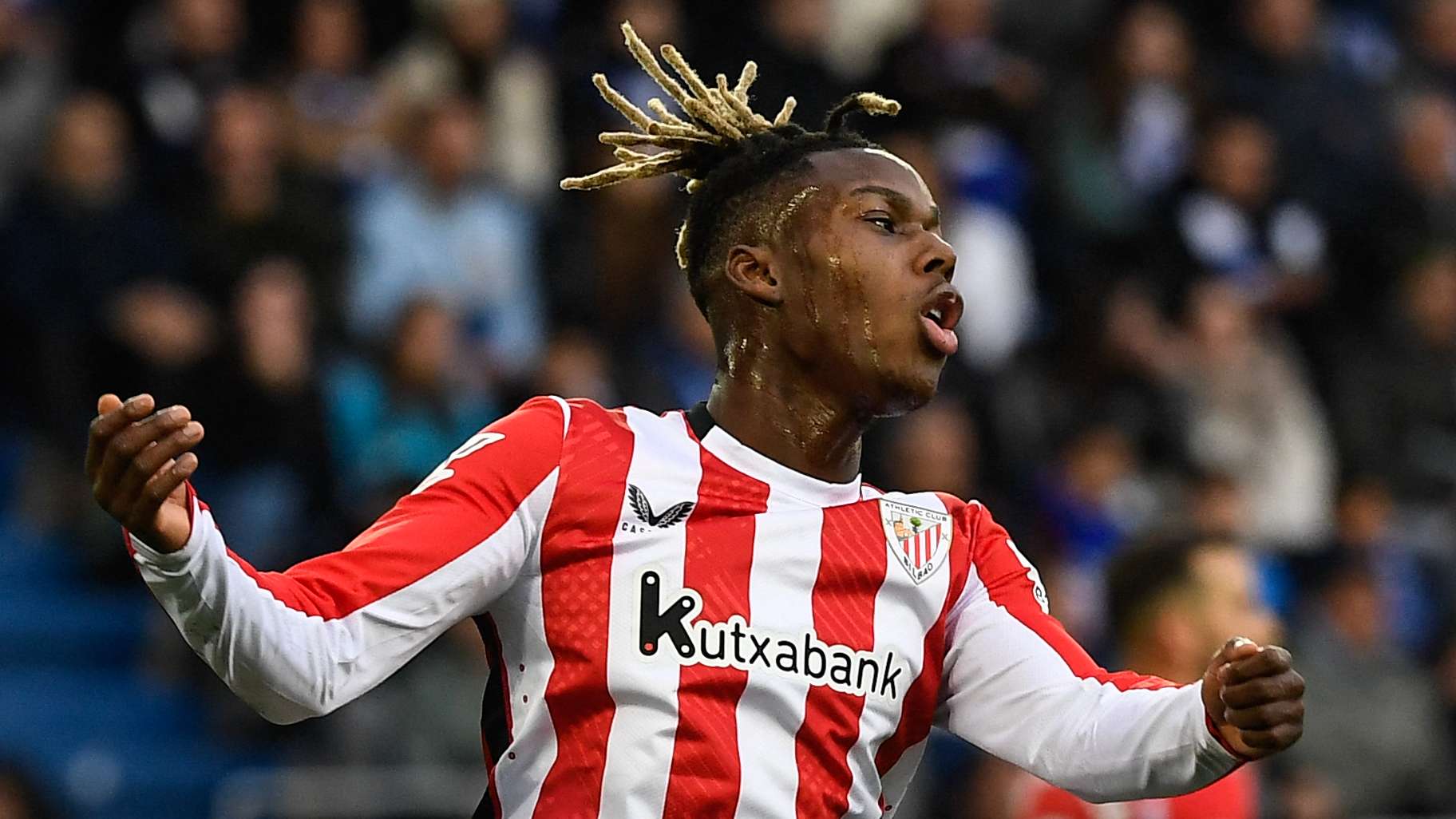 习到诸多比 习到诸多比