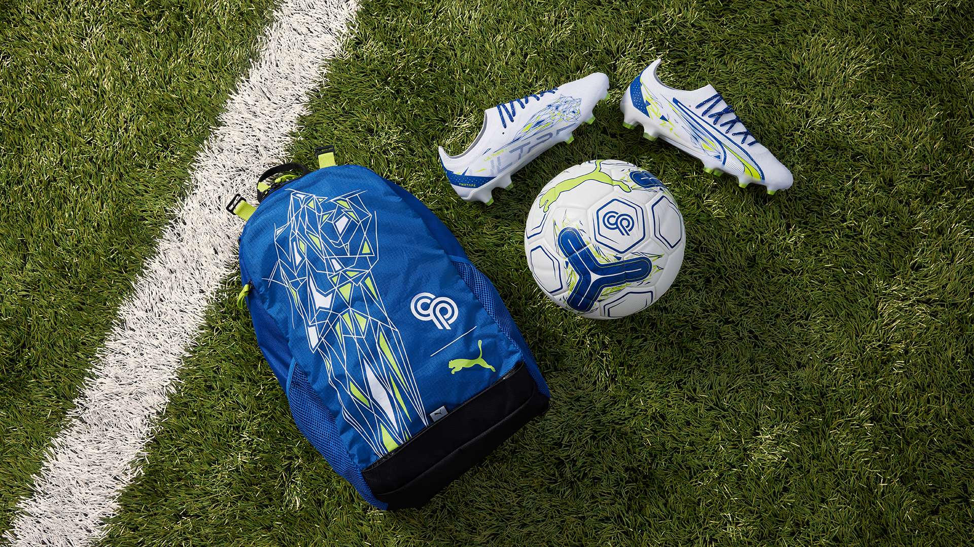 赖特的执教 赖特的执教